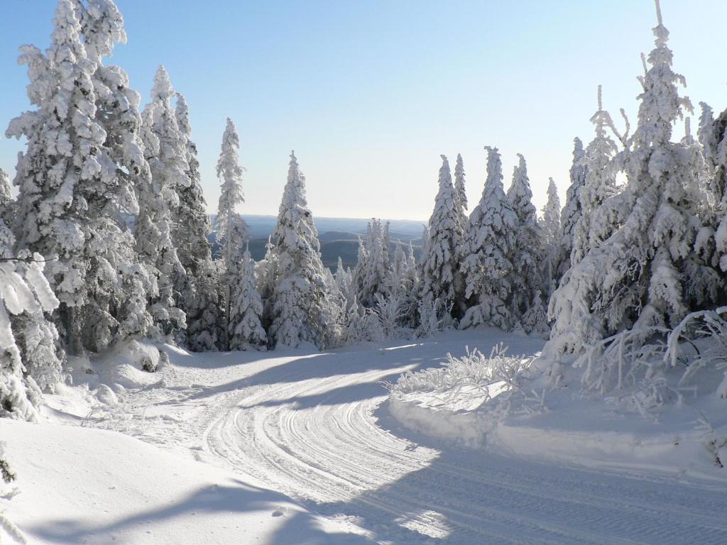 La Cuillere A Pot Hotel Saint-Donat-de-Montcalm Buitenkant foto